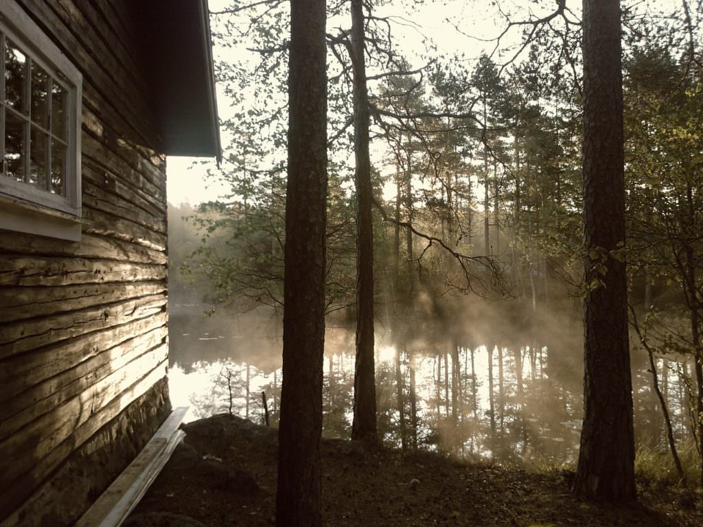 picture of a cabin with trees and lake in the background